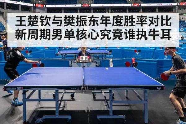 Fan Zhendong table tennis match