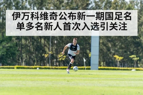 伊万科维奇公布新一期国足名单多名新人首次入选引关注